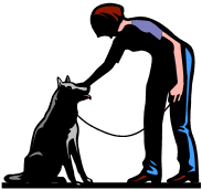 pet