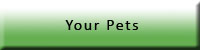 pets